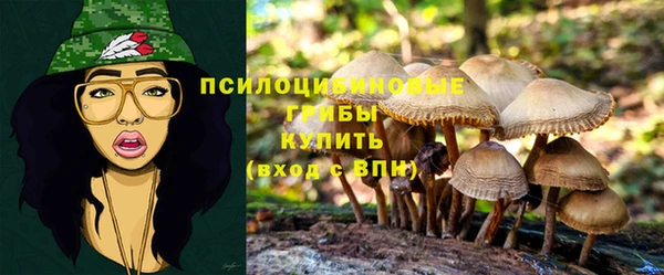 кристаллы Надым