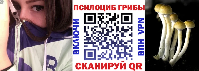 где купить наркоту Георгиевск Галлюциногенные грибы прущие грибы