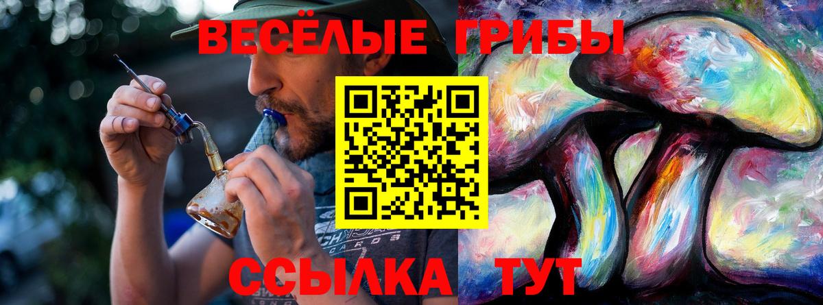Георгиевск  Псилоцибиновые грибы Cubensis  Вход с VPN 